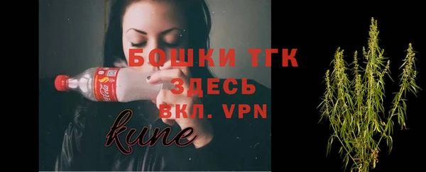 хмурый Гусев
