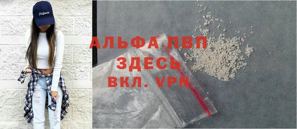 ПСИЛОЦИБИНОВЫЕ ГРИБЫ Новосибирск
