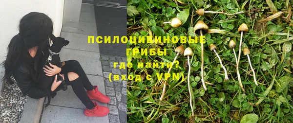 тгк Горно-Алтайск