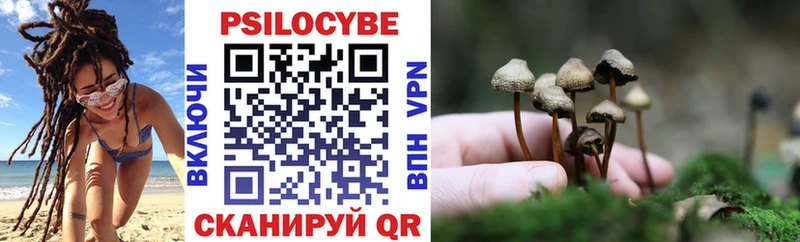 Галлюциногенные грибы Cubensis  Купить закладки  Канаш 
